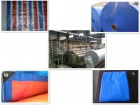 China PLASTIC COLOR-STRIPPED TARPAULIN factory