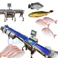 Quality Computer Control Fish Grading Machine Fish Sizing Machine For Tilapia Basa for sale