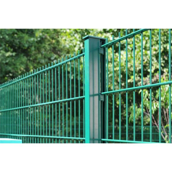Quality Powder Coated 50x200mm Twin Wire Mesh Fence With Round Post for sale