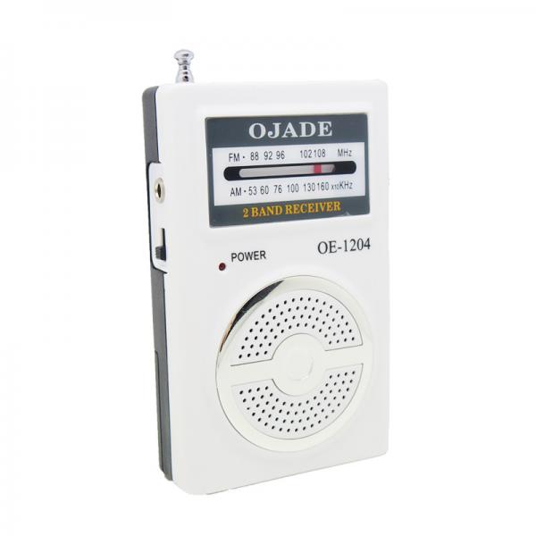 Quality With Speaker portable AM FM radio super design private model DSP Chip for sale