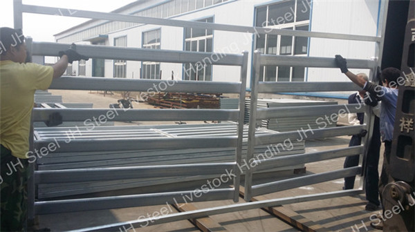 Quality Horse Round Yard Pen Cattle Yard Panels Sheep Panel 5 Bars Or 6 Bars for sale