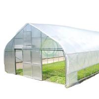 Quality Plastic Film Tunnel Greenhouse Resists Corrosion Sharp Arch Gothic Greenhouse for sale