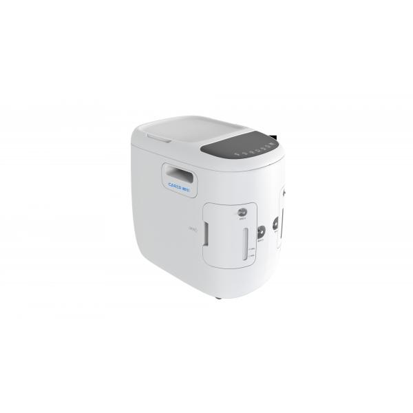 Quality Dual Outlet 10L Portable O2 Concentrator For Home Care for sale