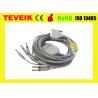 China Long Screw Schiller EKG Cable 10 lead ECG Cable and Leadwires for AT3,AT6,CS6,AT5, AT10,AT60 factory