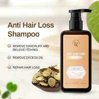 China Unisex 300ml Anti Hair Loss Shampoo Pure Natural Hair Building Fibers factory