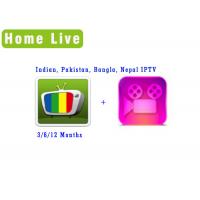 China Homelive apk iptv Indian Pakistan Bangla Nepal iptv with Bolly-tube VOD movie stable for android tv box factory