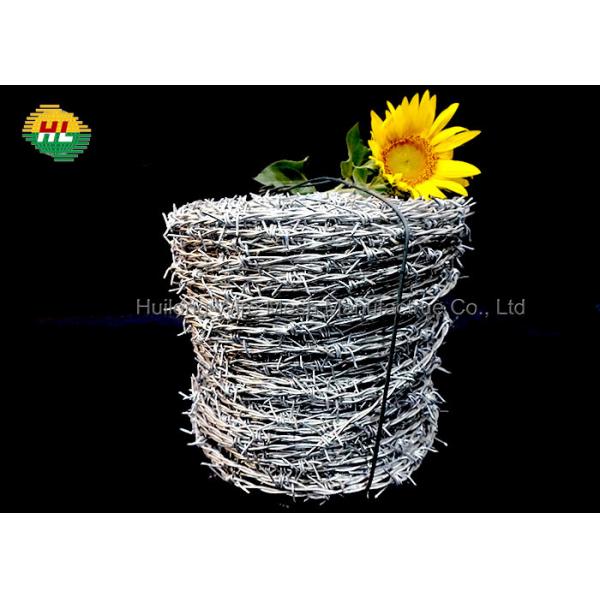 Quality 12/14/16  Hot-Dipped Galvanized Barbed Wire for Prison Security Fence for sale