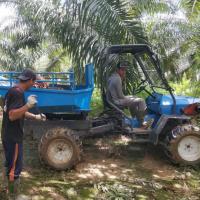 Quality 11L Hydraulic System Palm Oil Tractor for Agricultural for sale