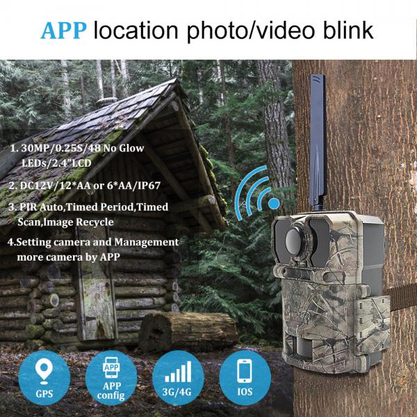 Quality Outdoor Hunting Camera 30Mp 1080P Trail Wildlife Camera With MMS SMTP FTP for sale