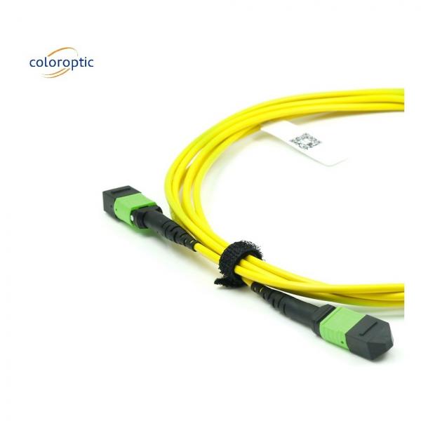 Quality Single Mode MPO Optical Cable OM3 Fiber Grade With PVC Jacket for sale