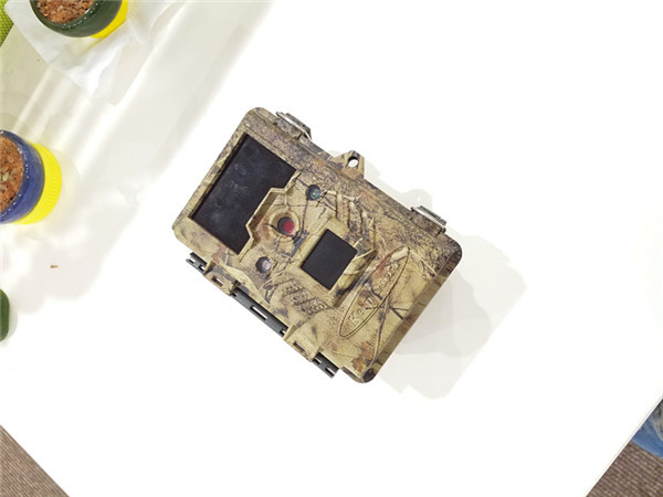 Quality Low Power 0.09mA Waterproof Deer Trail Camera / Action Cameras For Hunting for sale