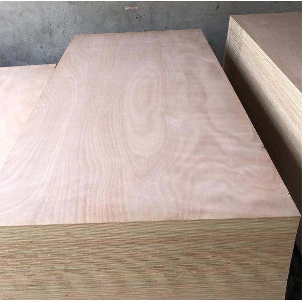 Quality Mildewproof Poplar Hardwood Veneer Plywood Harmless Practical for sale