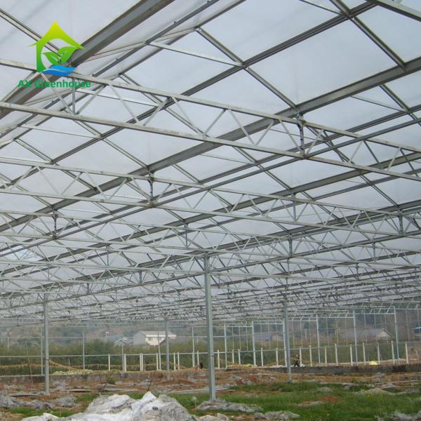 Quality Hot DIP Galvanized Steel Structure PC Sheet Greenhouse For Orchids Plants for sale