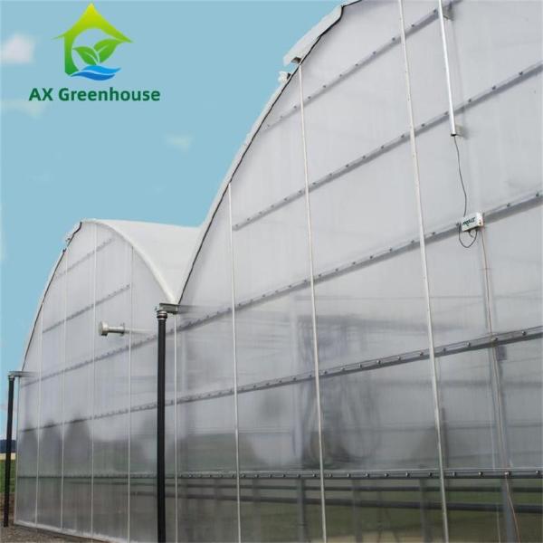 Quality OEM Agricultural PC Sheet Greenhouse for sale