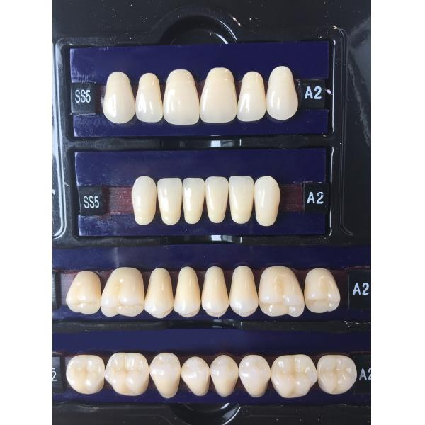 Quality Dental Synthetic Resin Teeth Materials Multi Layers Composite False Teeth HSS3 HC3 M32 for sale