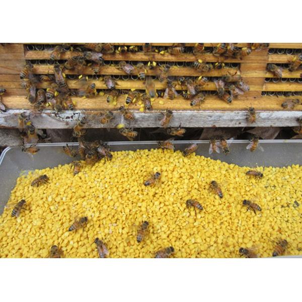 Quality Pure Fresh Rape Pollen Natural Pure Bee Pollen Bee Product local bee pollen for sale