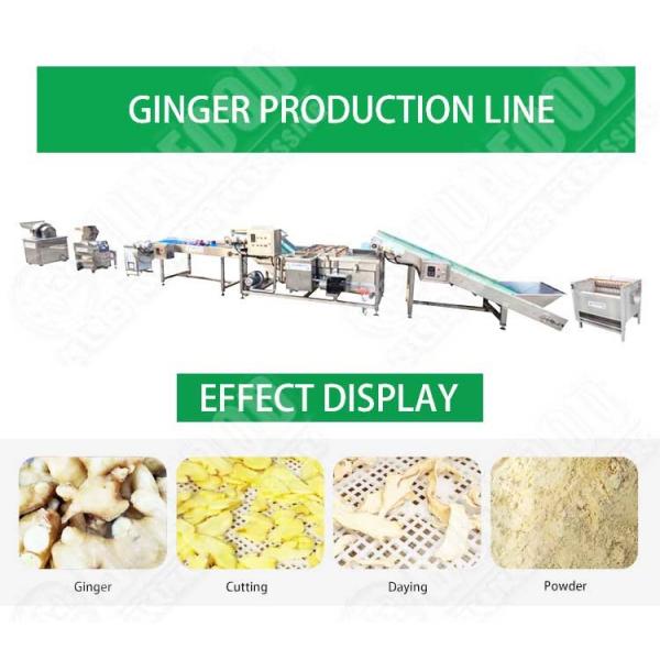 Quality Low cost garlic ginger processing line powder production line onion drying for sale