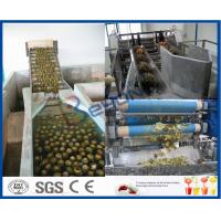 China Pineapple Processing Juice Factory Machinery With Fruit Juice Packaging Machine for sale