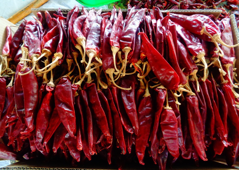 China Salsas Dried Guajillo Chili Spicy Flavor 11cm Red Jinta Chilli Pepper for sale