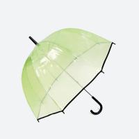 China Straight POE Transparent Dome Umbrella With J Shape Handle factory