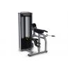 China Professional Commercial Gym Equipment Muscle Building OEM ODM Service factory