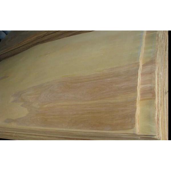 Quality Natural Rotary Cut Birch Veneer For MDF , Chipboard and Block Board for sale