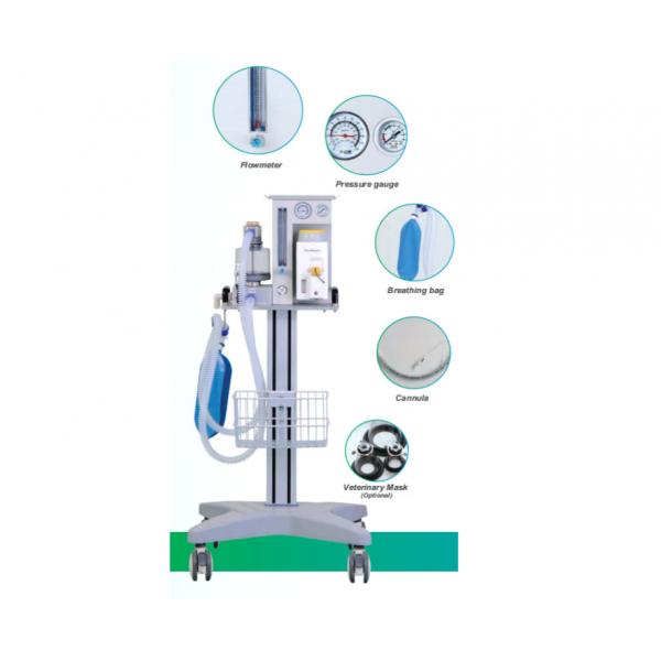 Quality O2 Veterinary Anesthesia Ventilator 280kPa-600kPa Vet Anaesthetic Machine DM6C for sale