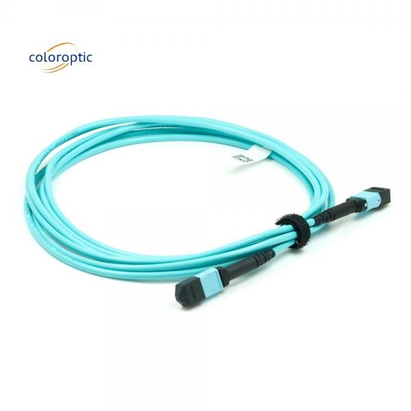 Quality Jacket Material Patch Cord Cable With MPO Connector For Telecommunication Networks for sale