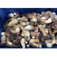 China HACCP Delicious IQF Frozen Wild Cultivated Boletus Edulis factory