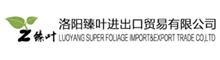 China supplier LUOYANG SUPER FOLIAGE IMPORT&EXPORT TRADE CO,LTD