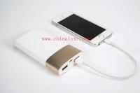 China New design hot sale wholesale xiaomi/iphone/samsung power bank portable factory