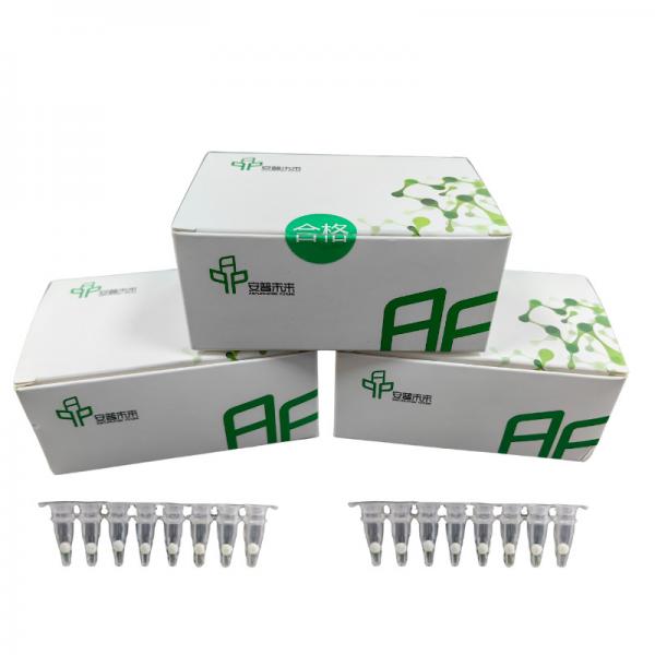Quality 14 Months Storage Isothermal PCR Amplification Kit High Sensitivity Specificity for sale
