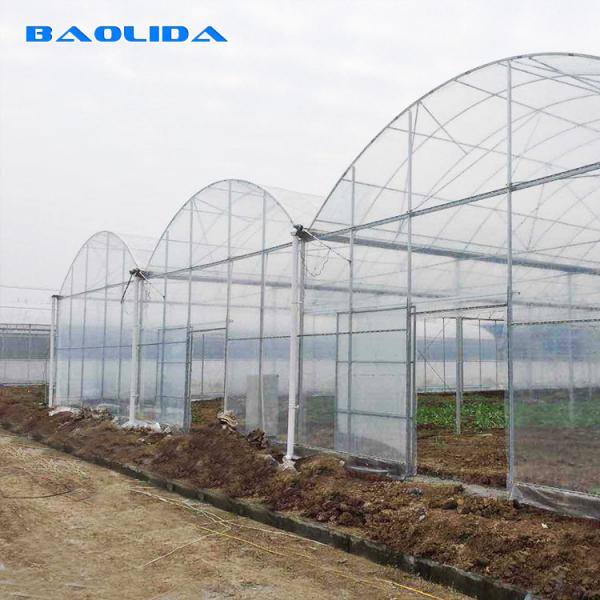 Quality Strong Structure Heavy Duty Plastic Greenhouse / Plastic Tomato Greenhouse for sale