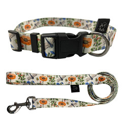 Quality Small Medium Large Classic Dog Collar With Quick Release Buckle for sale