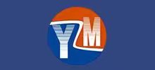 China JIANGSU YZM STEEL PRODUCTS Co., LTD. logo