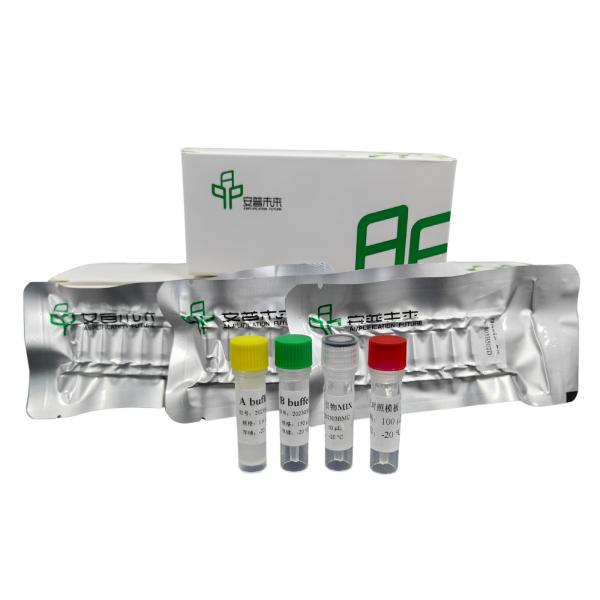 Quality High Sensitivity DNA Rapid Isothermal Amplification Kit Basic for sale