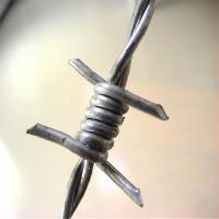 China Security High Tensile Barbed Wire 14#X14# Diameter For Jail Fence factory