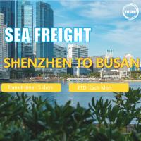 Quality International Sea Freight from Shenzhen to Busan South Korea for sale