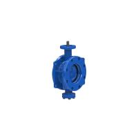 China DN150mm SS304 Disc Ring Double Eccentric Butterfly Valve With Dovetail Seal factory