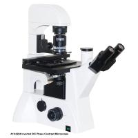 China Trinocular Inverted DIC Phase Contrast Microscope A19.0204 100x - 400x factory