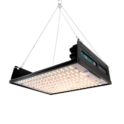 Quality Customizable 150w Led Grow Light IP65 Flat Panel Grow Lights High Efficiency for sale
