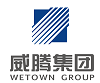 China Wetown Electric Group Co.,Ltd. logo