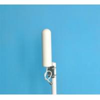 China AMEISON manufacturer  698-2700MHz Outdoor Omni directional Antenna 5dbi N female supports full band 2G 3G 4G LTE factory