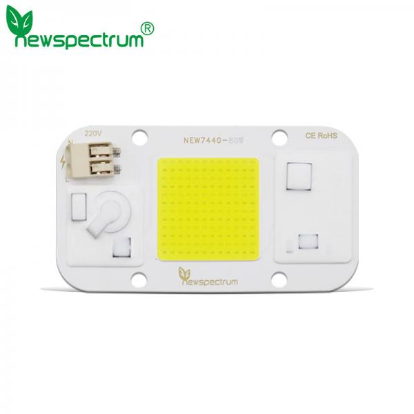 Quality 30W AC LED Module Cold White 6000K LED COB Chip For Floodlights for sale
