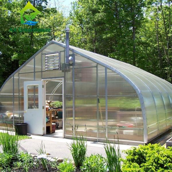 Quality Peach Type Roof Single Span Greenhouse for sale