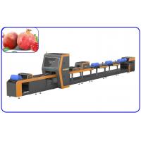 China Pomegranate Fruit Sorting Machine Electric Drive High Precision 4 Channel factory