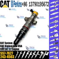 China C7 C9 Fuel Injector 387-9427 557-7627 293-4071 295-1411 293-4573 10R-4763 20R-8059 20R-8057 For Caterpillar Excavator factory