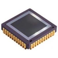 1024 768 Optoelectronic Components 0 39 Micro Oled With Full Color Display Of Optoelectronic Components