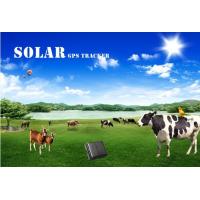 China Sim card gps solar tracking system with free software mini gps tracker waterproof for cow/ factory