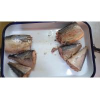 Quality Wild Caught Canned Mackerel Healthy In Brine , Mackerel Fillets Canned For Salad for sale